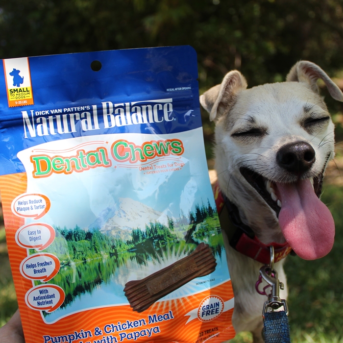 HAPPYHAZEL: Happy Reviews Natural Balance Dental Chews and Synergy ...