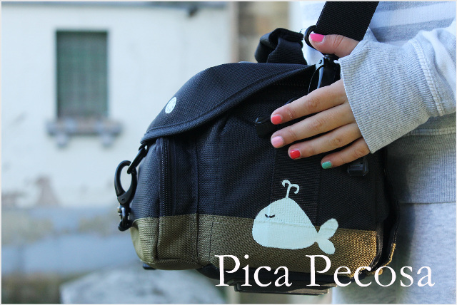 como-personalizar-funda-camara-fotos-con-chalk-paint