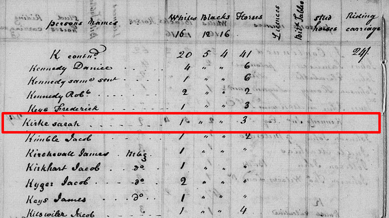 Family Sleuther Coming of Age in Virginia's 18th Century Tax Records