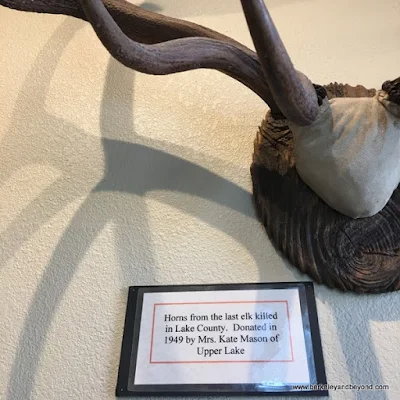 antlers from last elk killed in Lake County at Lakeport Historic Courthouse Museum in Lakeport, California