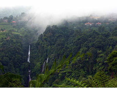 Tempat Shopping di Bandung : Curug Cigamea Wisata Alam Bogor Jawa Barat Curug Cigamea Wisata Alam Bogor Jawa Barat Tempat Shopping di Bandung : Curug Cigamea Wisata Alam Bogor Jawa Barat
