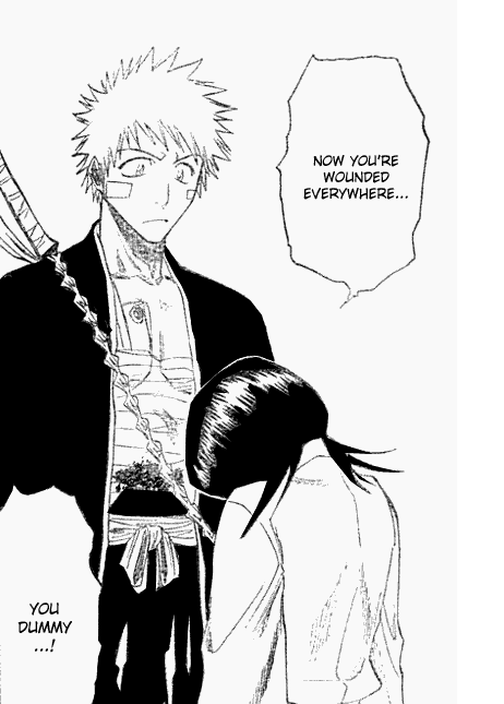 Ichiruki vs Ichihime : do they really have an equal possibility ...