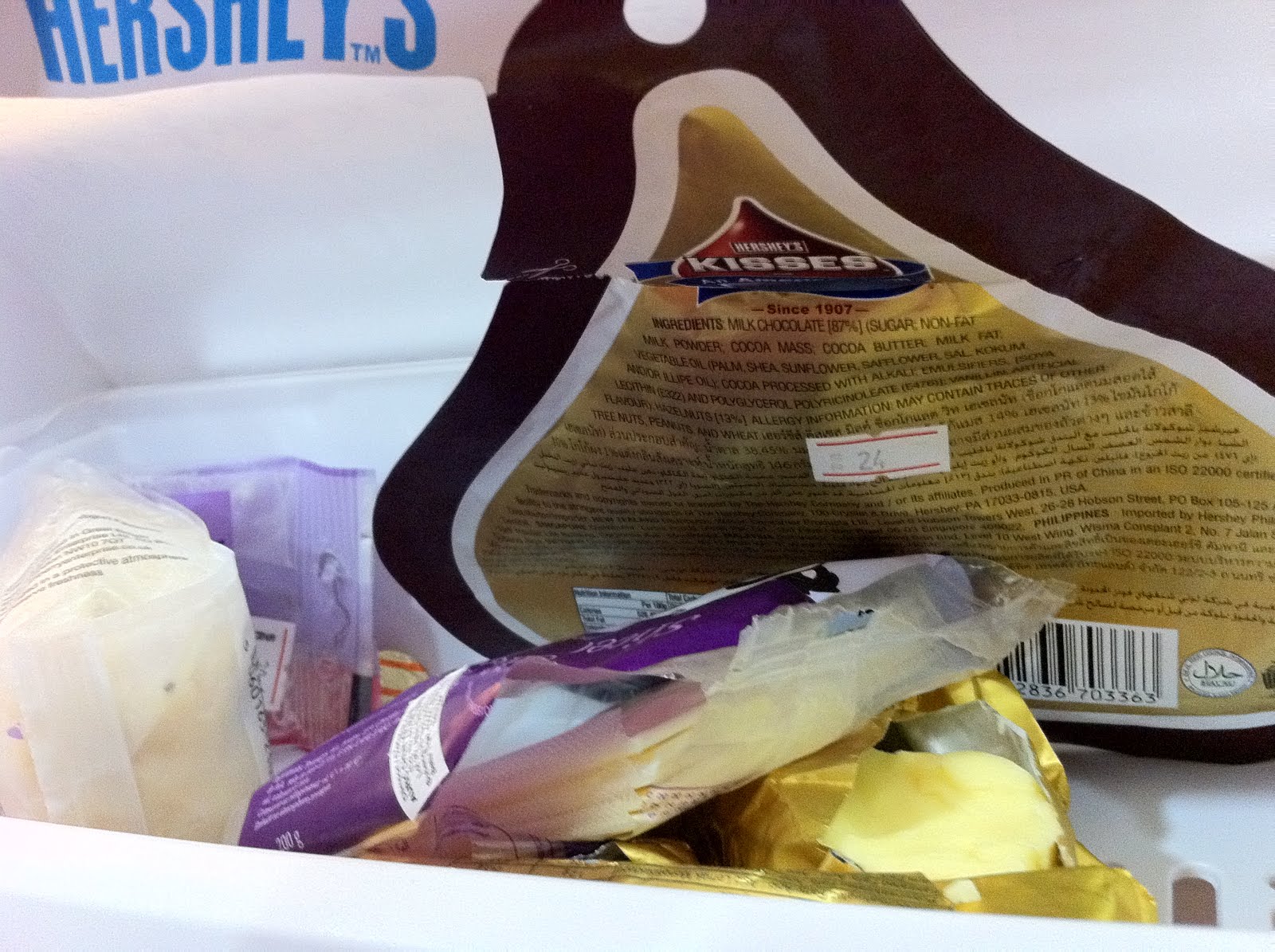 Irreversible Read by Diena Wong The Horrifying Investigation of My Mom's Refrigerator