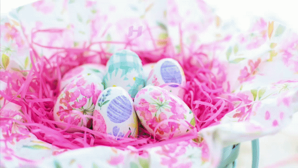 *Free Daily Greetings Pictures Festival GIF Images: GIF Animated  Easter festival greetings Free Download