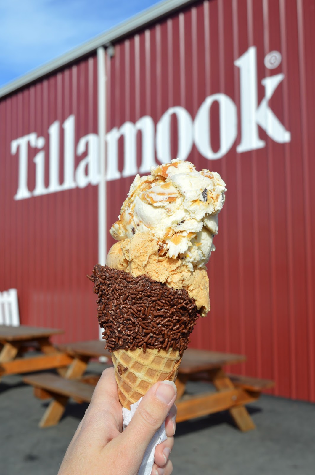 A Visit to the Tillamook Cheese Factory