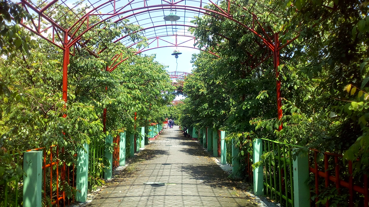 Petik Belimbing Sepuasnya di Agro Wisata Belimbing Karangsari, Kota