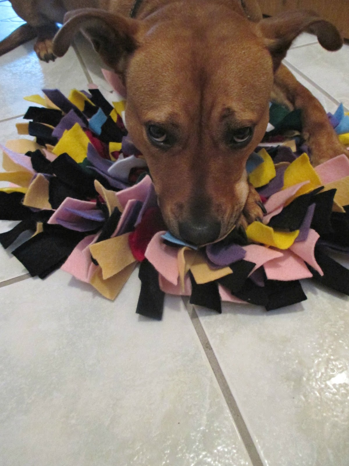 Just my Stuff Snuffle Mat