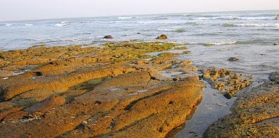 Pantai Jatisari Pantai Jatisari