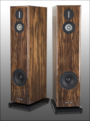 salk speakers for sale