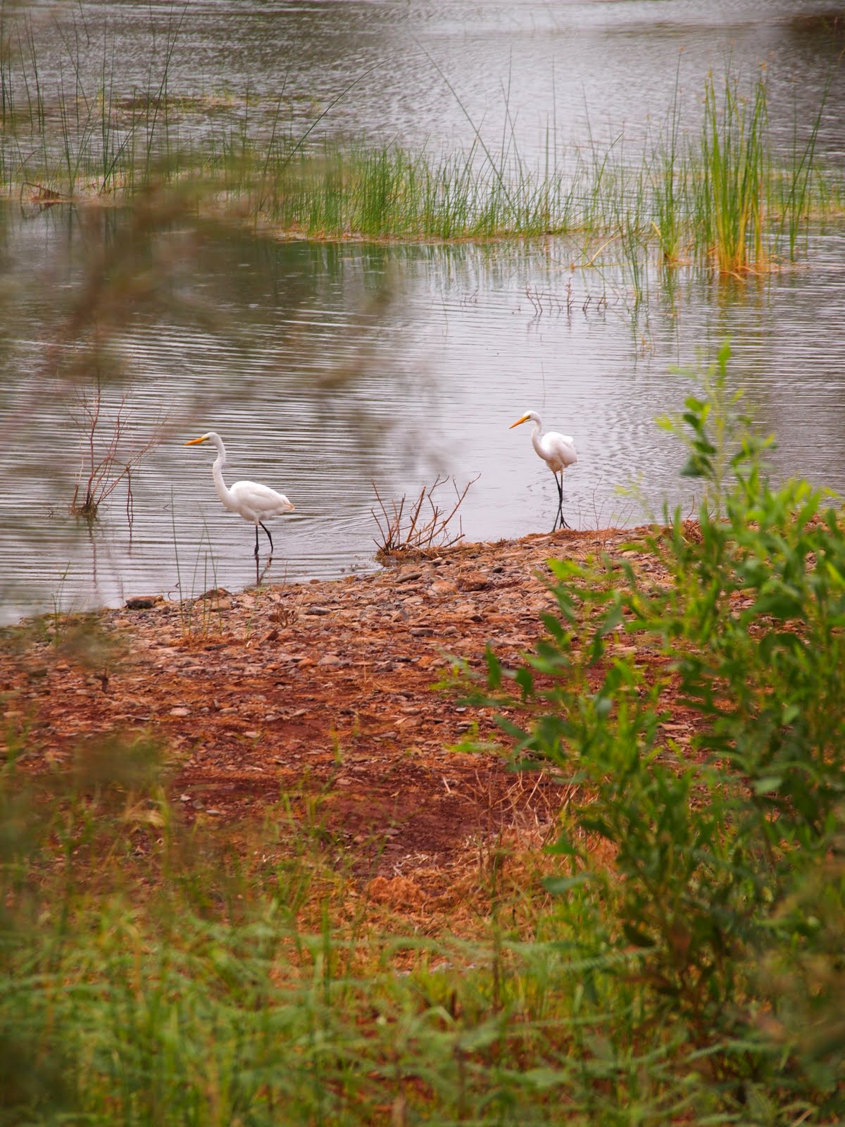 Jo's Journey Yardie Homstead Caravan Park to Point Samson