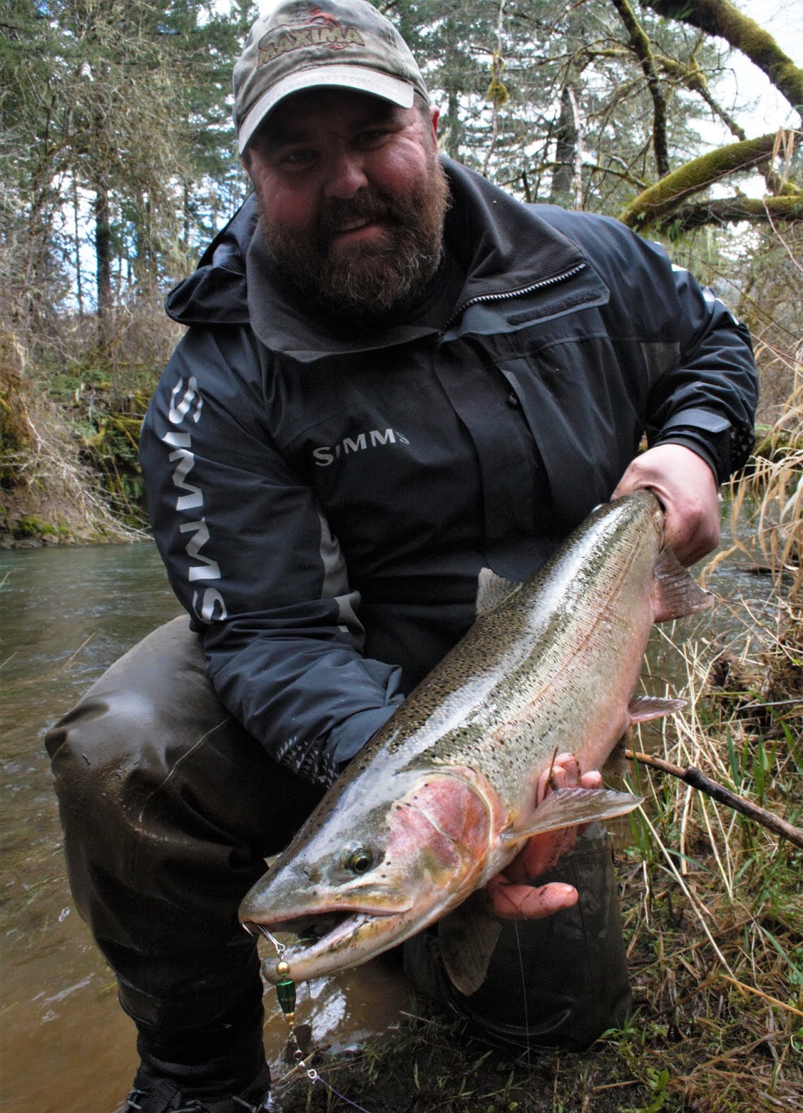 Rain Or Shine an Outdoor Column Early Winter Steelhead On The Alsea rain-or-shine-an-outdoor-column-early-winter-steelhead-on-the-alsea