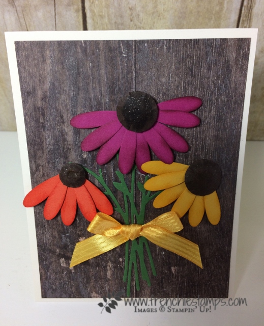 Daisy Punch Coneflower, Stampin'Up!