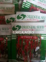 Produk Benih Oriental Seed, Oriental Seed Indonesia, Jual benih cabe murah, LMGA AGRO, OR Twist 42