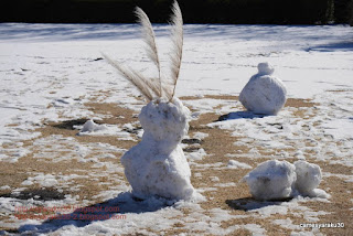 雪だるま 雪だるま写真