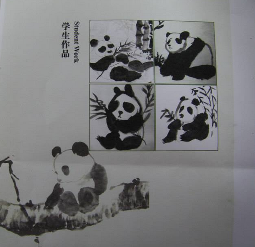 My Image 24