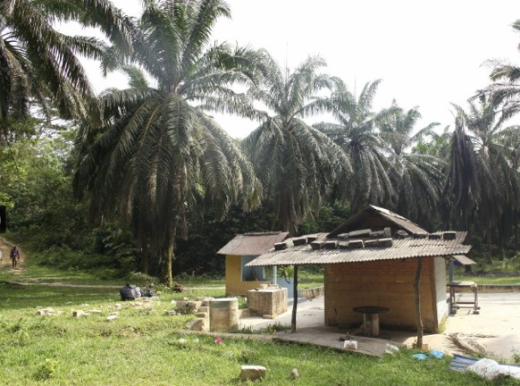 Polis Bongkar Kes Pembunuhan Melibatkan Geng Kongsi Gelap. Culik, Bunuh dan Tanam Dalam Hutan. Polis Bongkar Kes Pembunuhan Melibatkan Geng Kongsi Gelap. Culik, Bunuh dan Tanam Dalam Hutan.