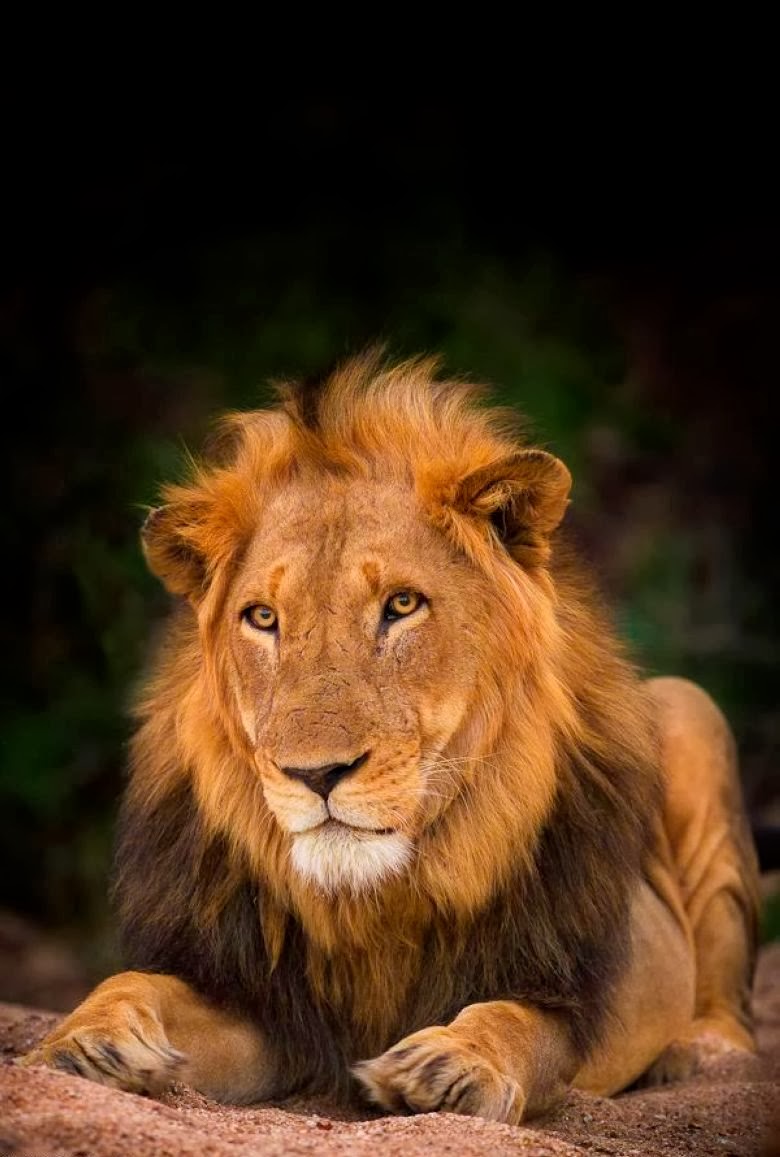 LATEST WALLPAPERS, 3D WALLPAPERS, AMAZING WALLPAPERS: High resolution