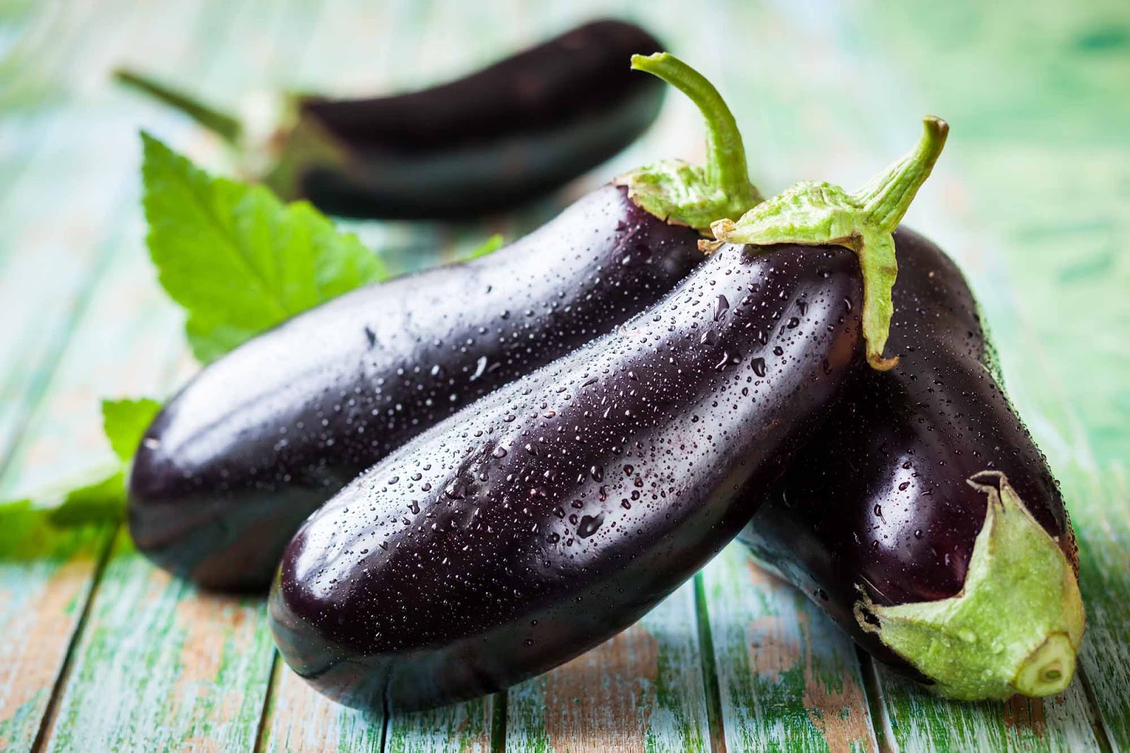 Eggplant, Vegetables That Can Lower Cholesterol judianto