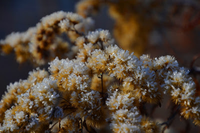 Winter, mùa đông, tél, dimër, zima, зима, 冬季, talv, talvi, Winter, mùa đông, tél, dimër, zima, зима, 冬季, talv, talvi, hiver, χειμώνας, inverno, ウィンター, ziema, žiema, iarnă, зима, vinter, zimné, invierno, zimní, kış, tél,