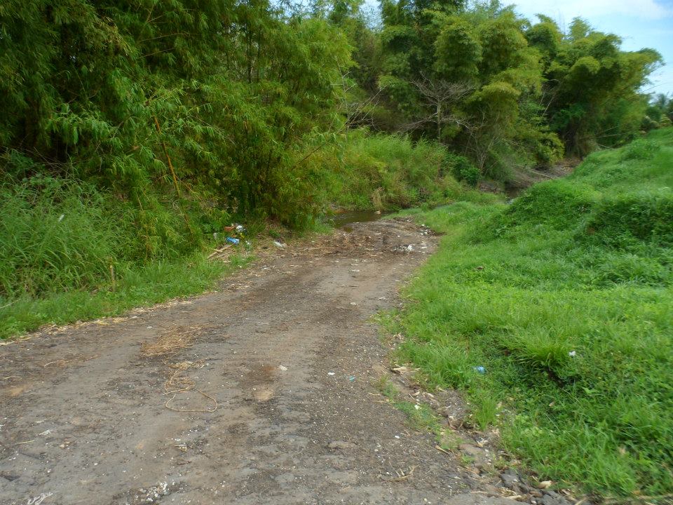 The Dark Side of Urban Trinidad Is Rivers Our New Landfills!!!