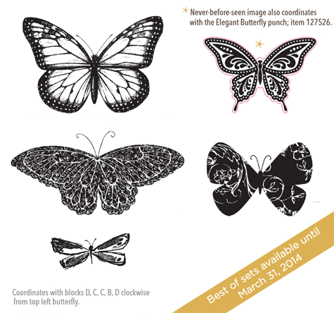 Stamping Inspiration: BEST OF 25 YEARS: New Best of Butterflies Stamp ...