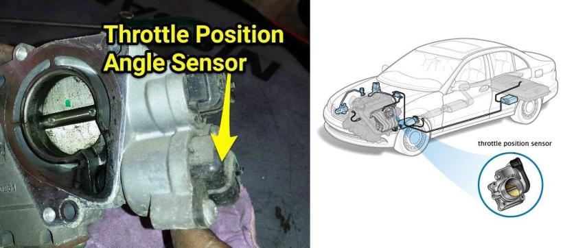 Throttle position sensor