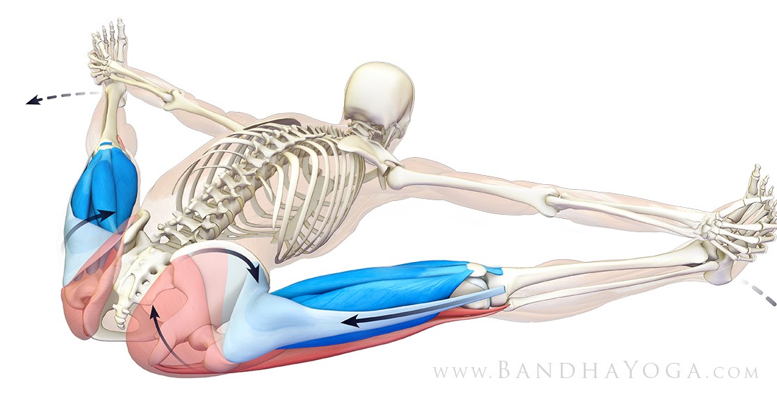 The World with Yogic Eyes The most common yoga related injuries how