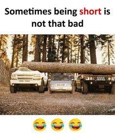 superb status for whatsapp in english