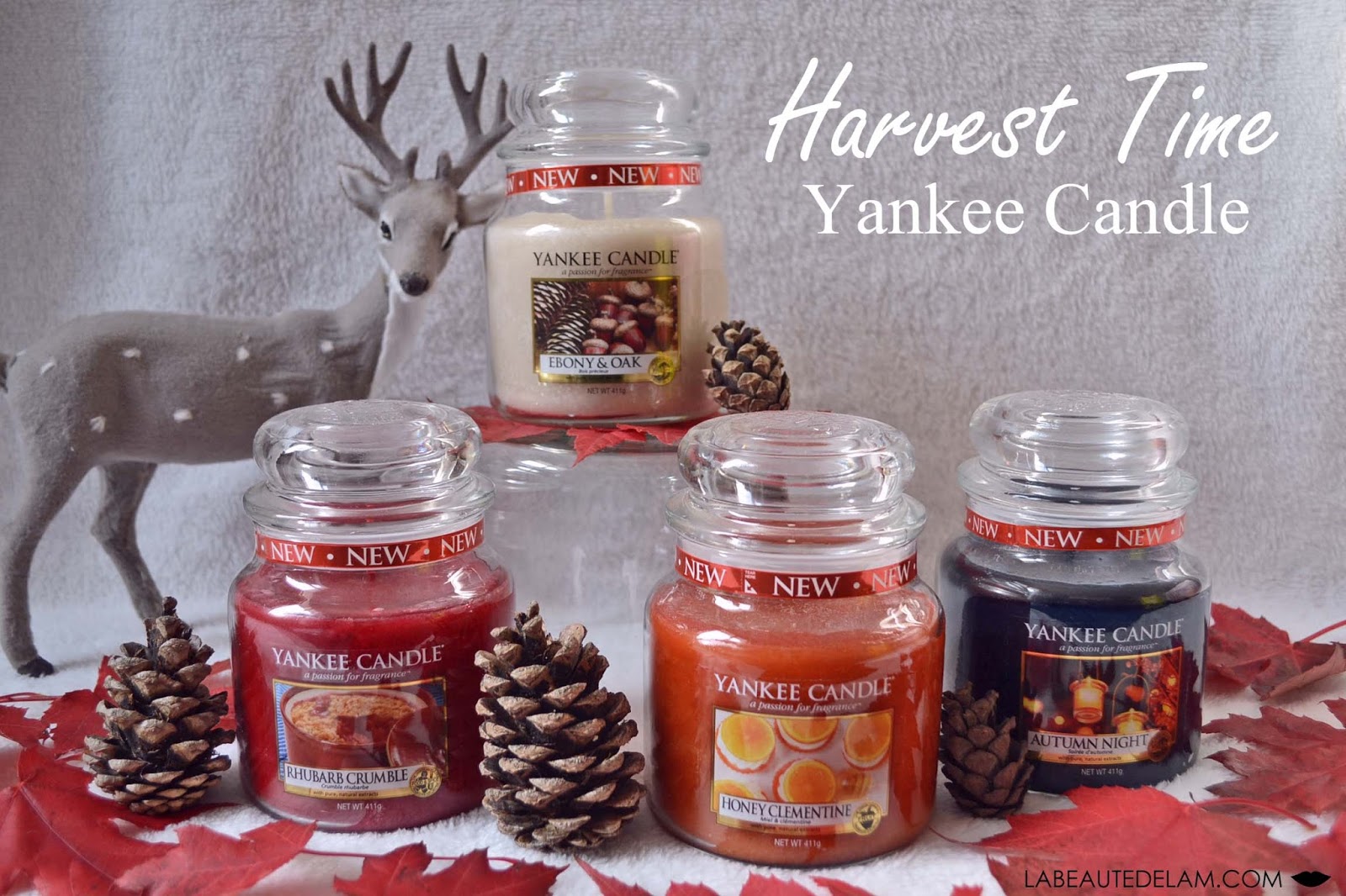 Rouge YANKEE CANDLE Tartelettes en Cire Miel Clementine