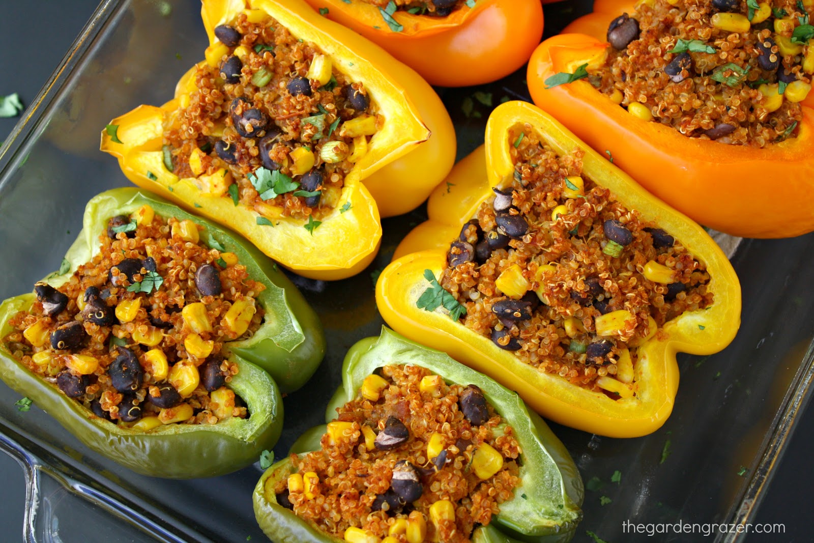 The Garden Grazer Ultimate List Of Vegan Mexican Recipes 