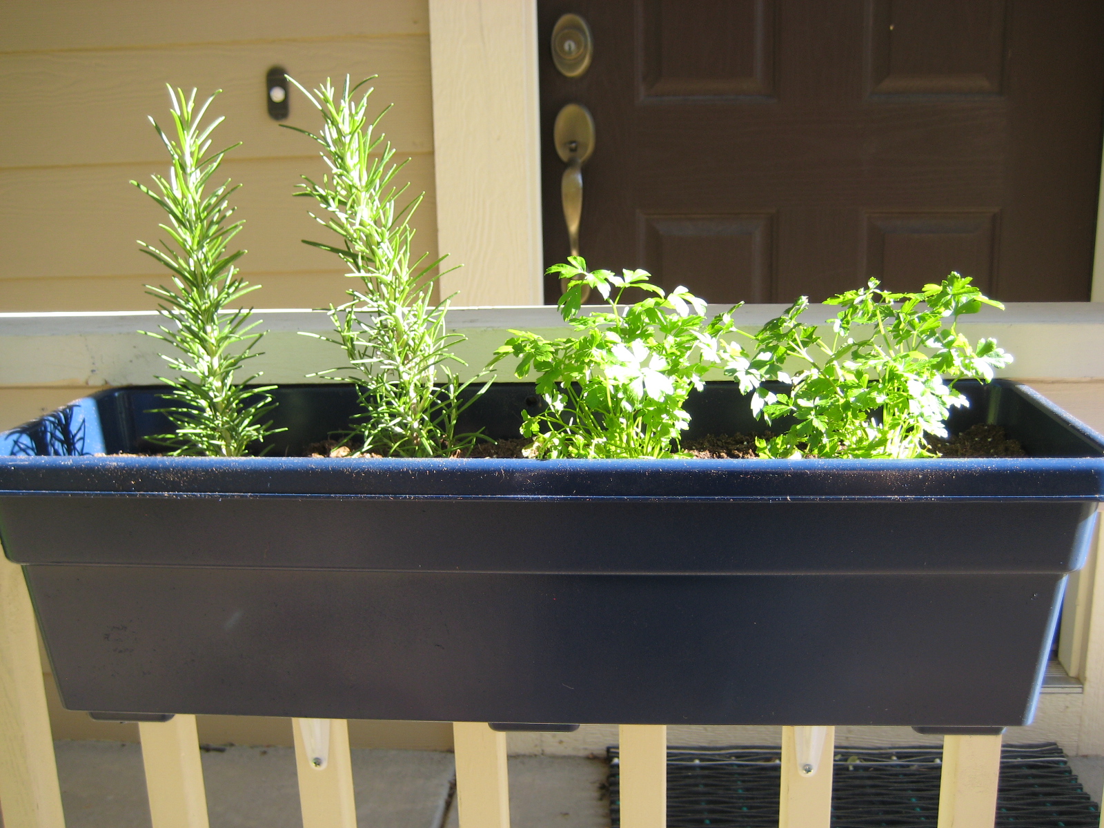 Handmade Homebody: Window Box Herb Garden