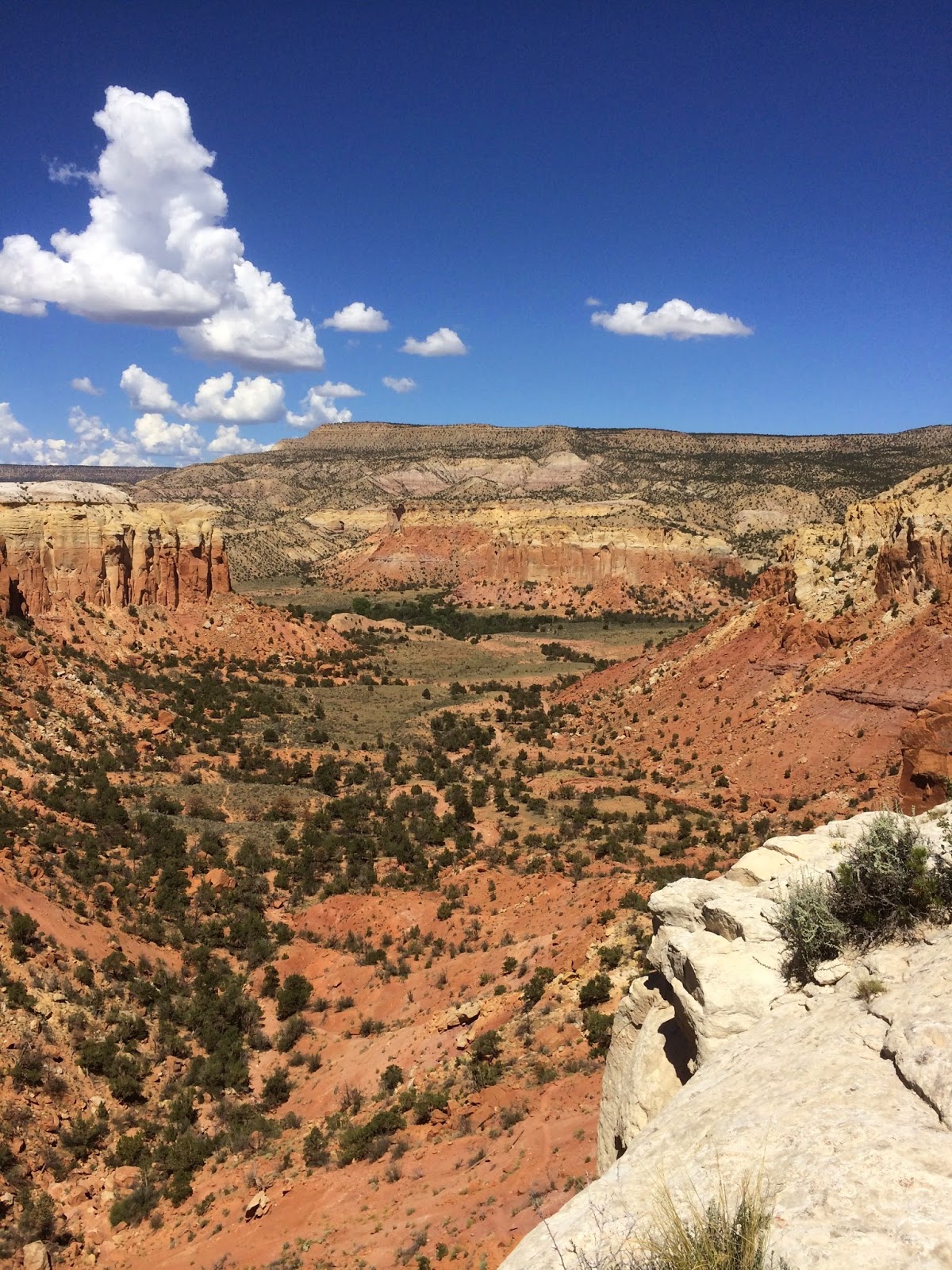 Your Destiny is Stone Golden Revelations in Ms. O'Keefe's pantry, Fall