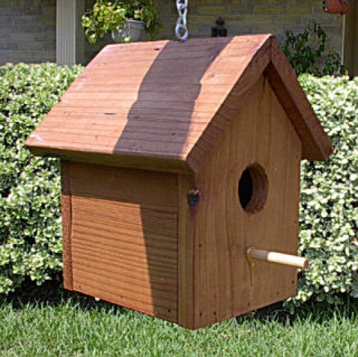 Bird In Everything: Build Bird House Plans