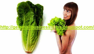 Start Your Own Lettuce Farming Business