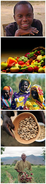 Horn of plenty is a charming African folktale Horn of plenty is a charming African folktale