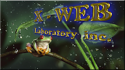 "X - WEB Laboratory inc."