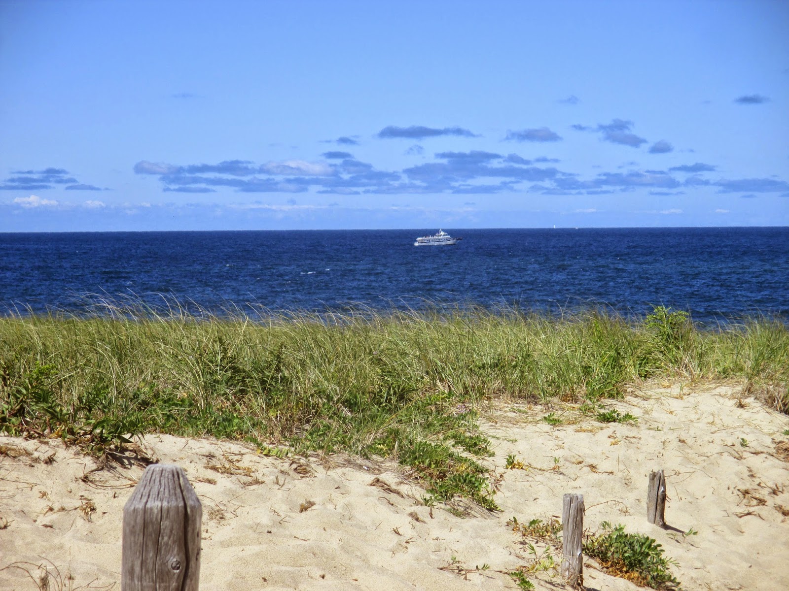 The Life and Times of SIT Why Is Cape Cod Called Cape Cod?