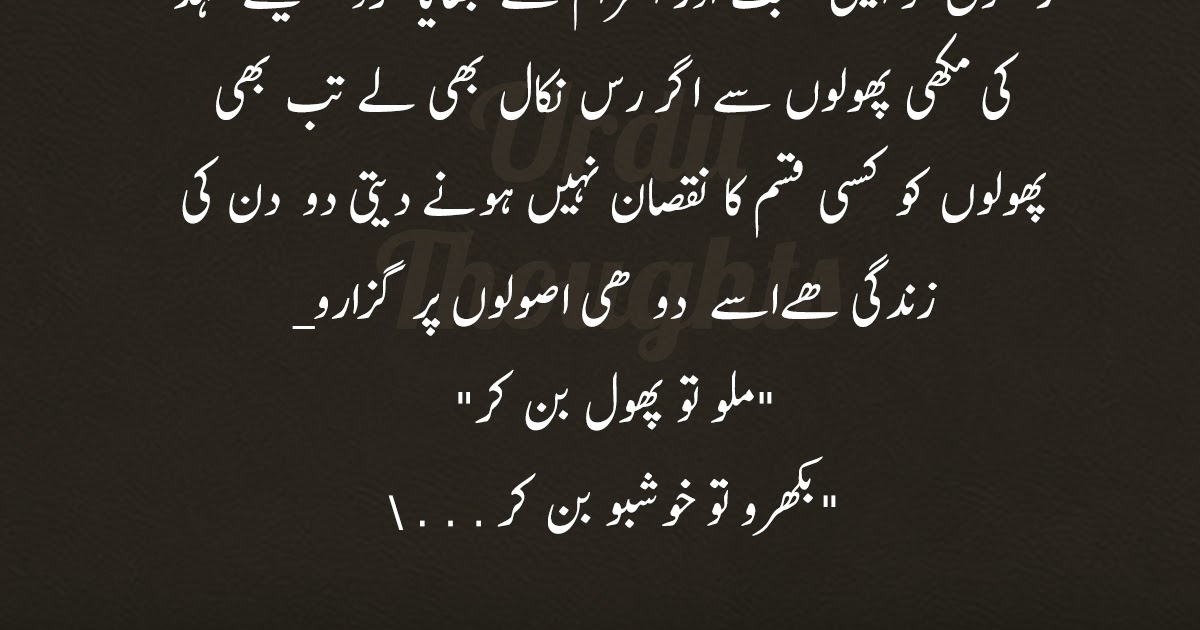 42+ Most Popular Best Quotes Ever In Urdu