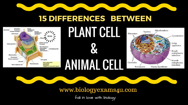 Difference between Plant cell and Animal cell (15 Differences)