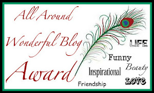 All Around WONDERFUL Blog Award