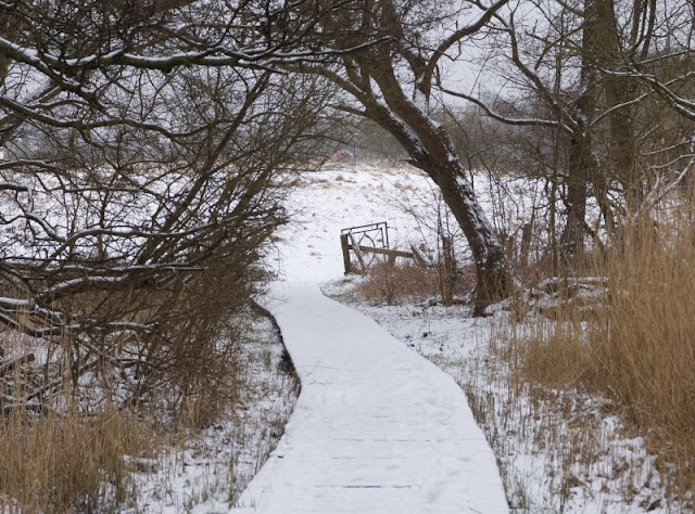 Rund um den Tröndelsee: Unser Winter-Spaziergang mit Schlitten. Viele Wege und Stege führen durch das Naturschutzgebiet Tröndelsee und Umgebung.