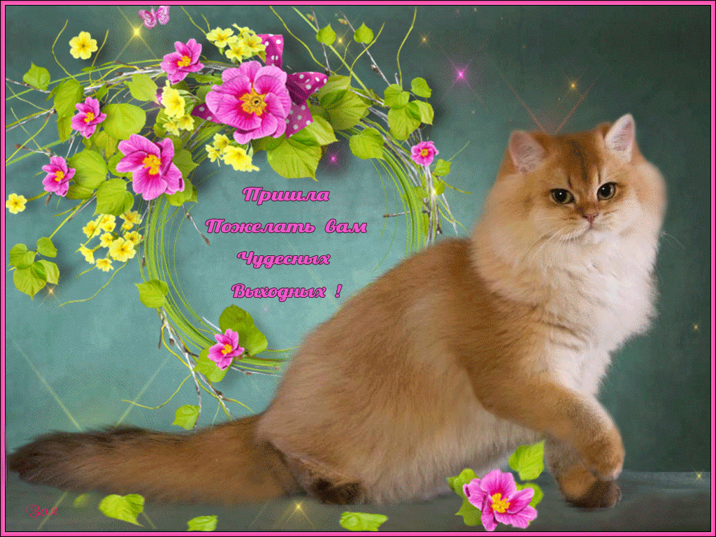 открытки. счастливой осени. открытки разные красивые. всемирный день домашних животных. пожелание счастье котёнок.