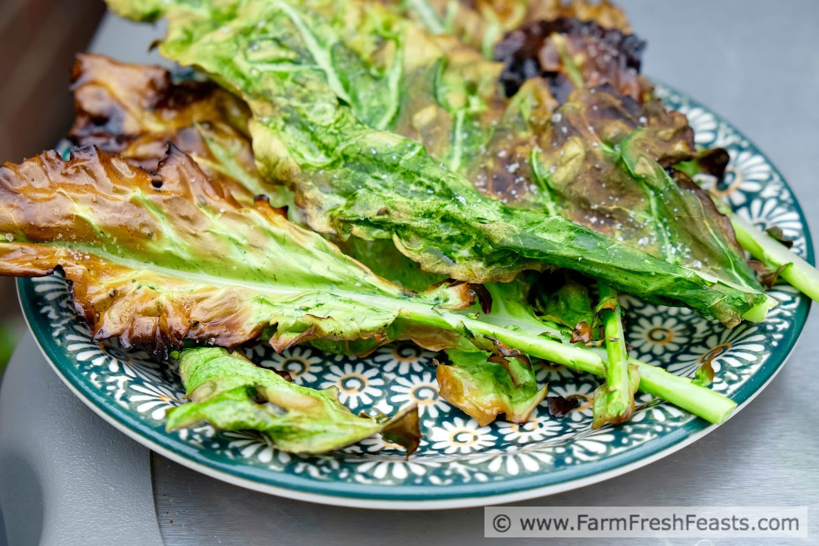 Farm Fresh Feasts Grilled Kohlrabi Leaf Chips on a Stick