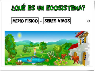 "¿Qué es un ecosistema?" (Ciencias Naturales de Primaria)