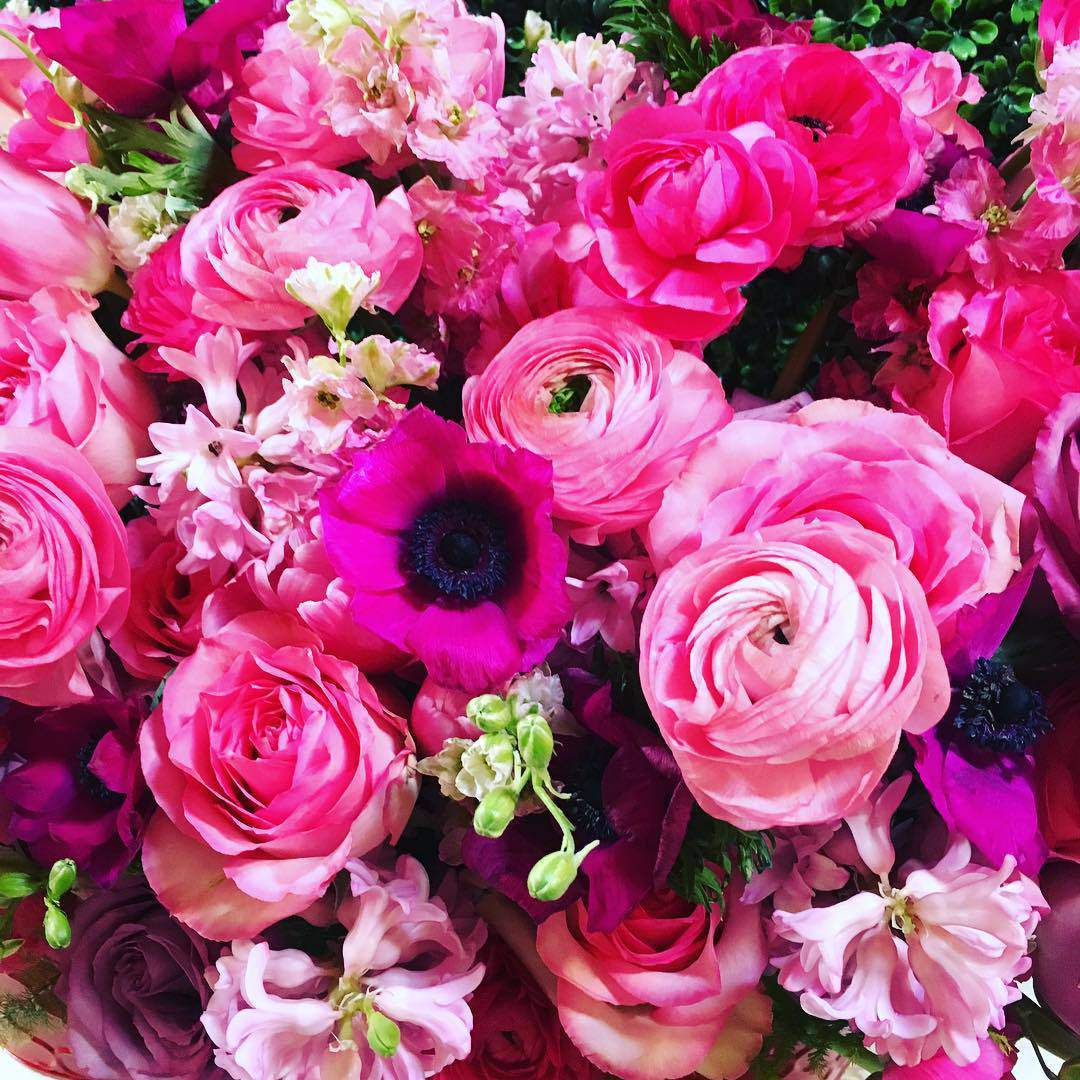 40 Gambar Bunga Rose Untuk Wallpaper Ponsel 40 Gambar Bunga Rose Untuk Wallpaper Ponsel