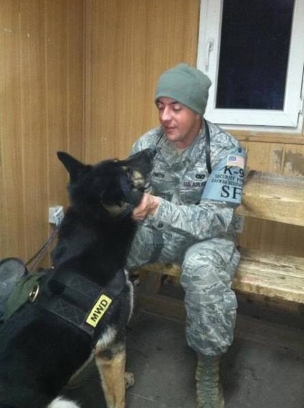 Emotiva eutanasia de un perro militar