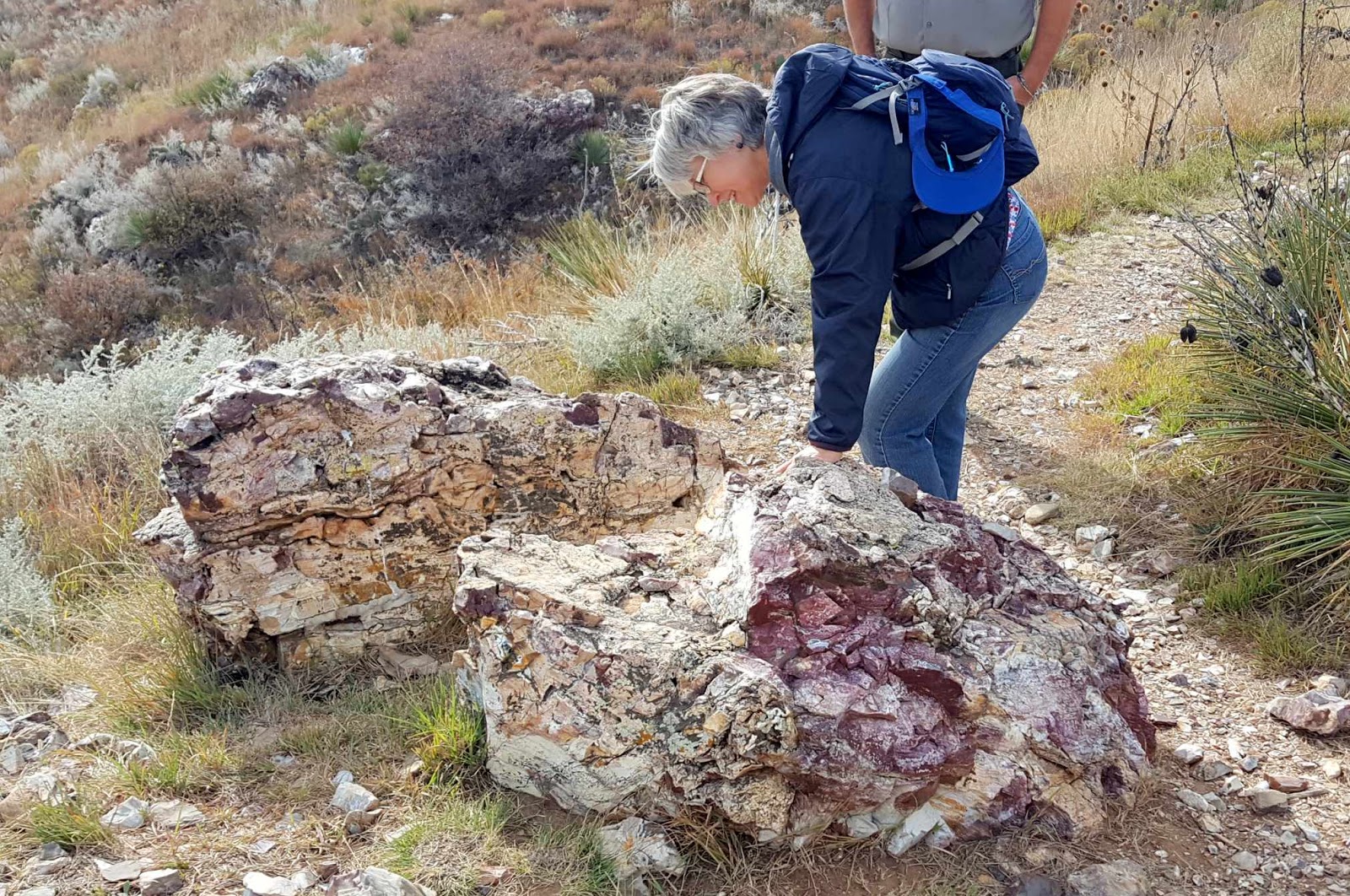 Wandering His Wonders Finding Flint and Family