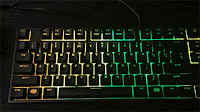 random1.gif
