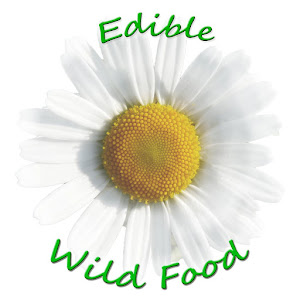 click on pic - EdibleWildFood.com