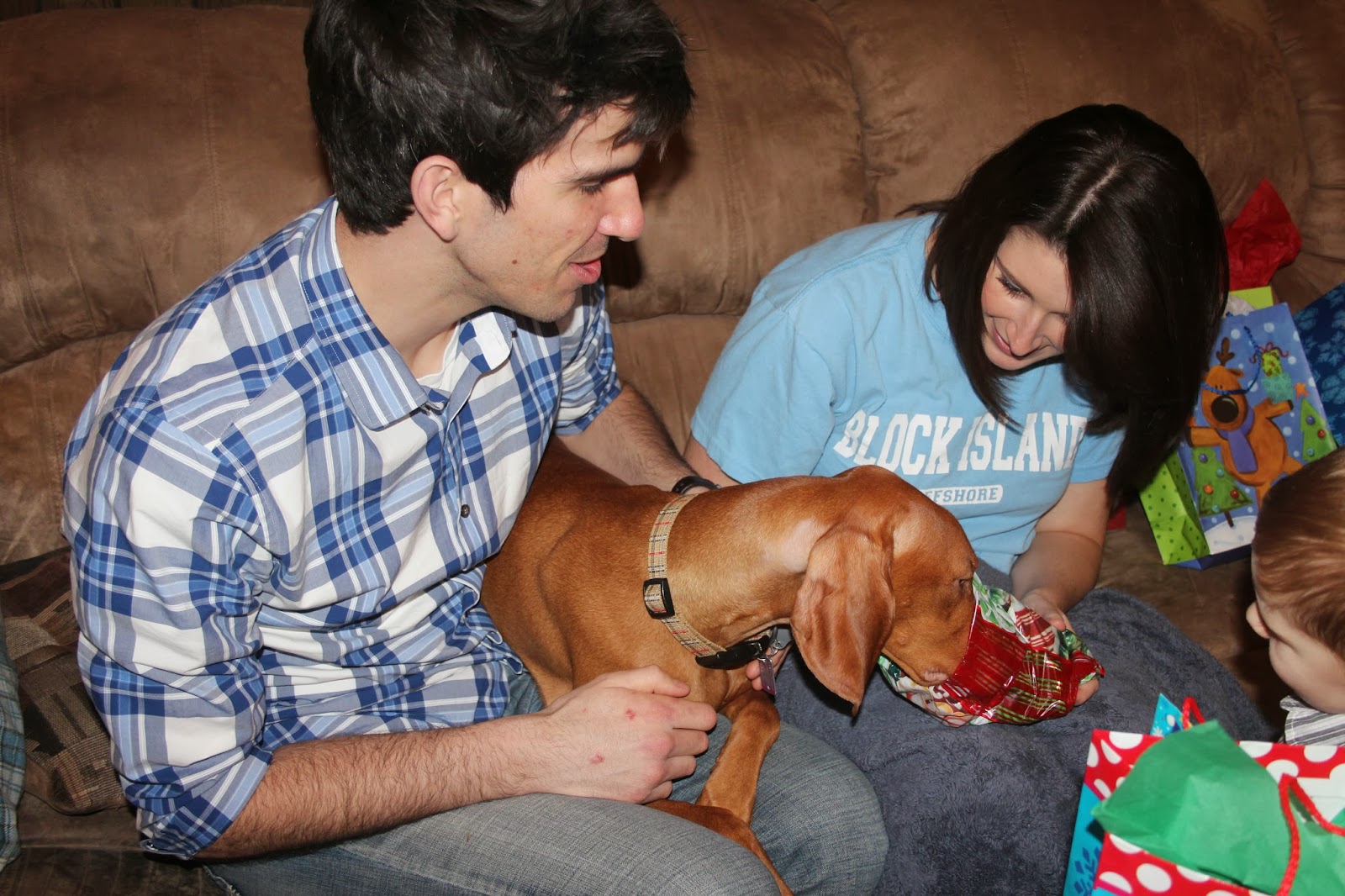 Froggied Princess Our life with a WheatonPavlik Harness Help Us Find